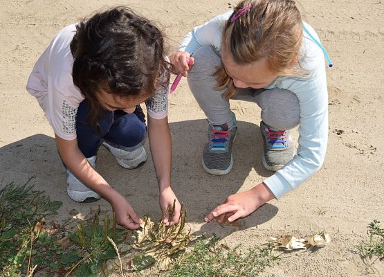 Grafika Warsztaty Rodzinne „Bardzo w to wierzę wspomagam jeże”