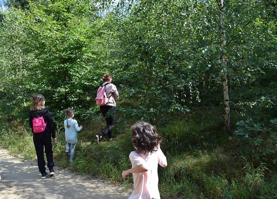 Grafika Warsztaty Rodzinne „Bardzo w to wierzę wspomagam jeże”