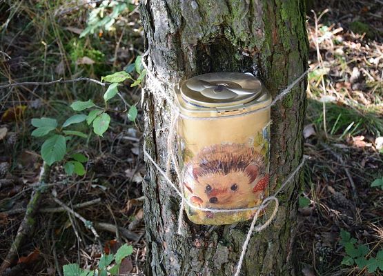 Grafika Warsztaty Rodzinne „Bardzo w to wierzę wspomagam jeże”