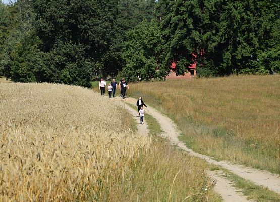 Grafika Jeszcze troszkę o lecie w Ośrodku Edukacji Ekologicznej
