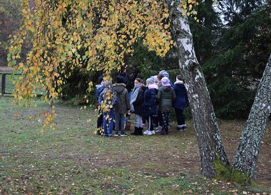 Grafika Podsumowanie "Z koszykiem pełnym wiedzy na grzyby!"