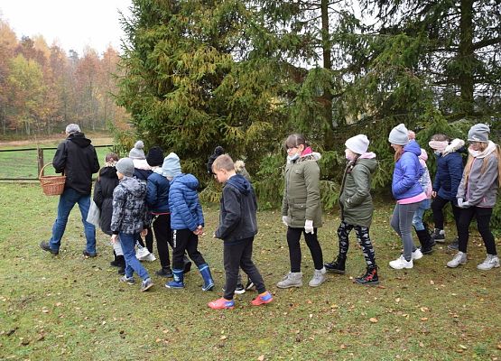 Grafika Podsumowanie "Z koszykiem pełnym wiedzy na grzyby!"