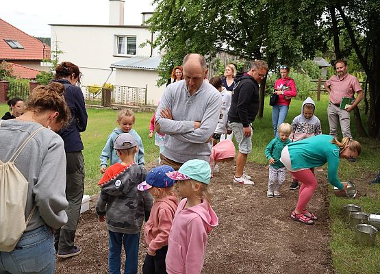 Grafika "Chabrem i makiem w murawę"