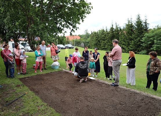 Grafika Podsumowanie cyklu Warsztatów Rodzinnych z OEE