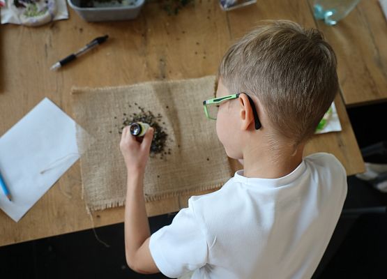 Grafika Podsumowanie cyklu Warsztatów Rodzinnych z OEE