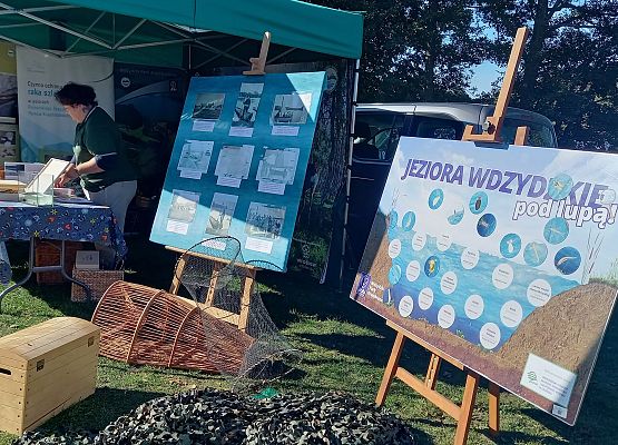 Grafika Piknik żeglarski we Wdzydzach Kiszewskich