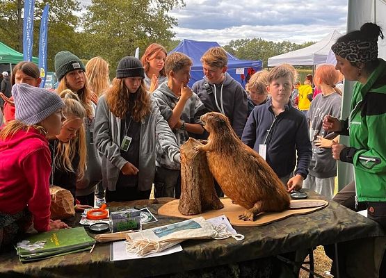 Grafika Piknik żeglarski we Wdzydzach Kiszewskich