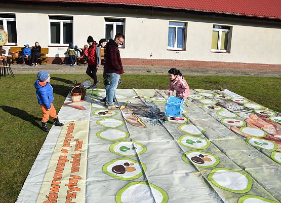 Grafika Z koszykiem pełnym wiedzy na grzyby!