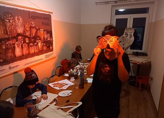 Grafika Warsztaty dla rodzin w ramach akcji edukacyjnej  „Tajemne życie sów”