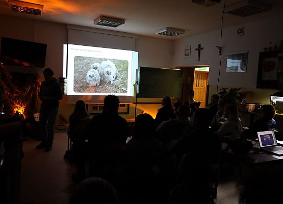 Grafika Warsztaty dla rodzin w ramach akcji edukacyjnej  „Tajemne życie sów”