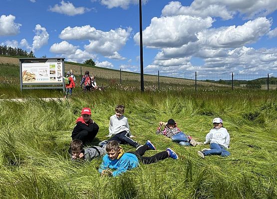 Grafika Edukacja Ekologiczna w Nowej Przestrzeni
