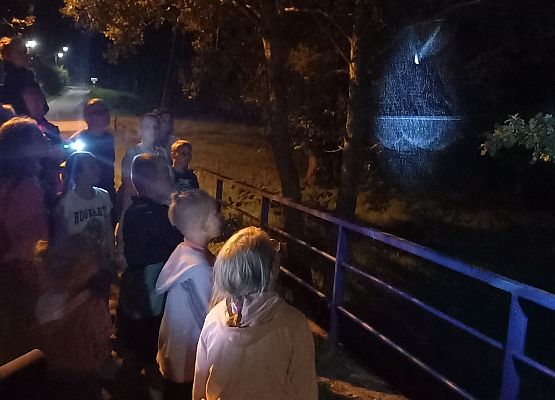 Grafika „Noc pełna nietoperzowych wrażeń!”