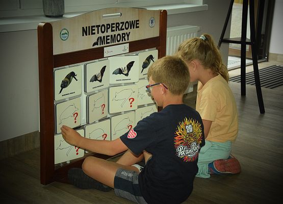 Grafika „Noc pełna nietoperzowych wrażeń!”