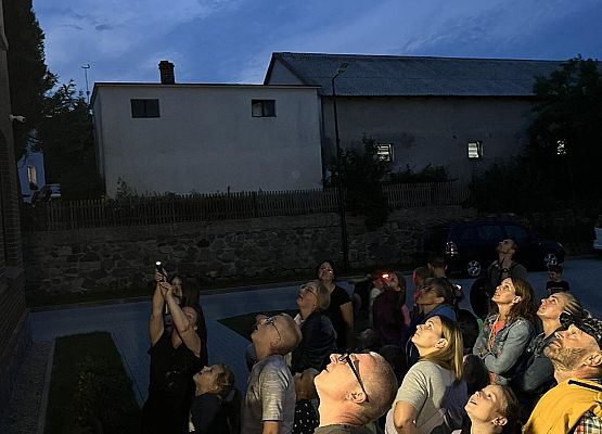Grafika „Noc pełna nietoperzowych wrażeń!”