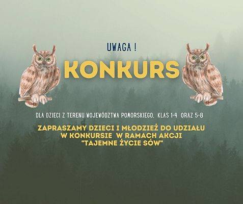 Grafika 2: Konkurs