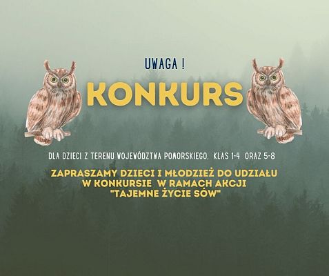Grafika Konkurs