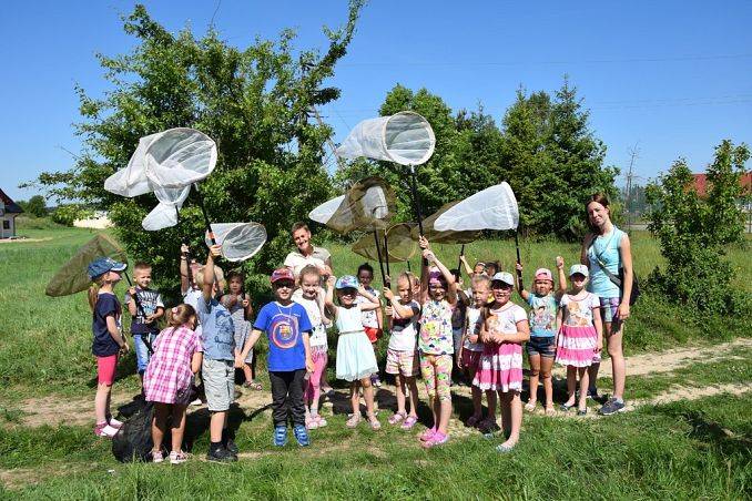 Majówka entomologiczna dla przedszkolaków- warsztaty OEE grafika