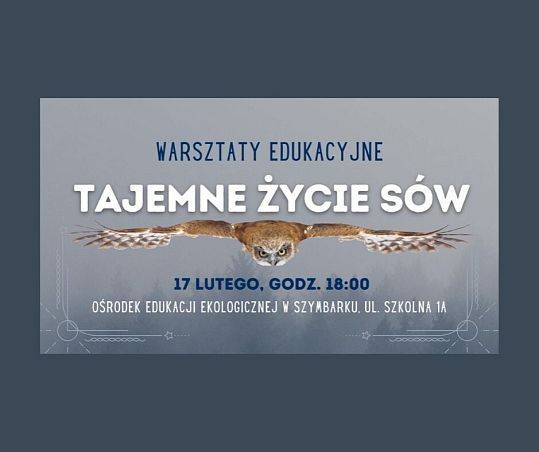 Tajemne życie sów grafika